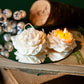 Venus Florea - Collezione Design
